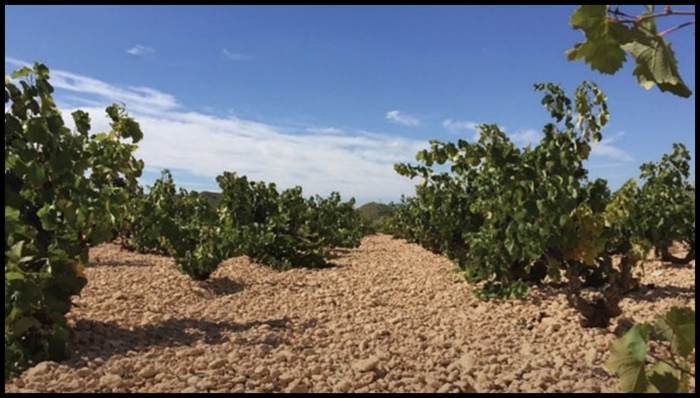 Spain, Utiel Requena D.O.