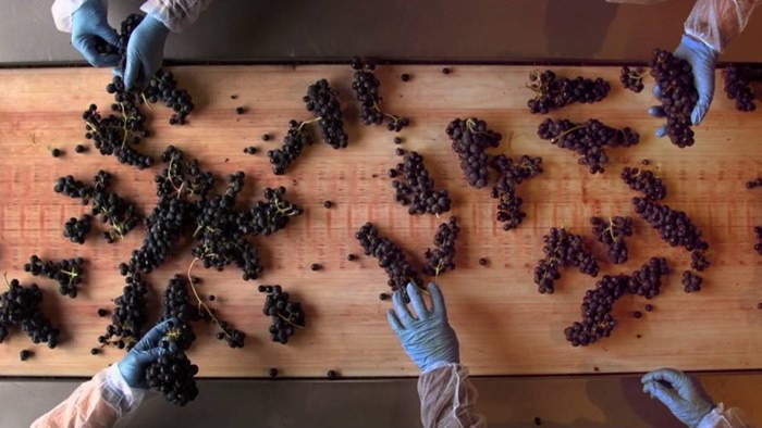 Winery Teso La Monja Spain