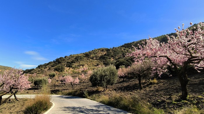 Sierra Contraviesa, Andalucía