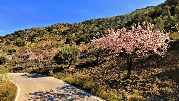 Las Alpujaras in Spain