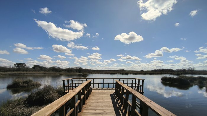 Tablas de Daimiel N.P.