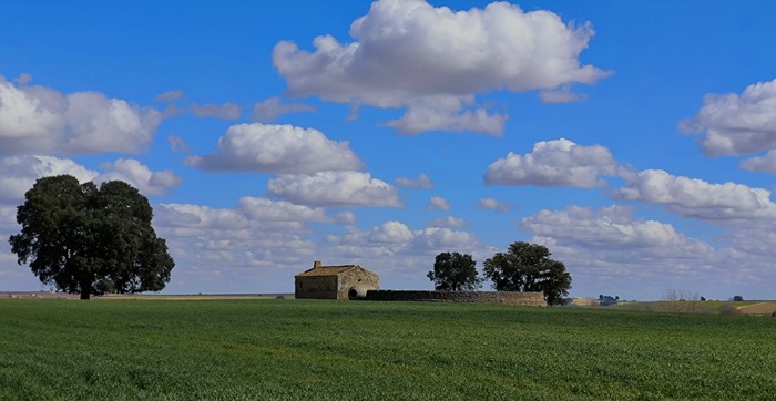 Landscape in Castilla La Mancha