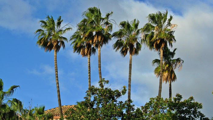 Spain, Andalucía, Málaga