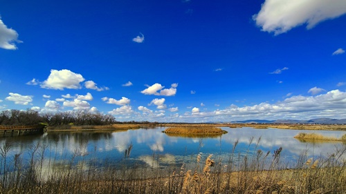 Spain, Castilla La-Mancha, Tablas de Daimiel