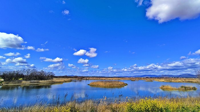 Las Tablas de Daimiel, Spain, Castilla La Mancha