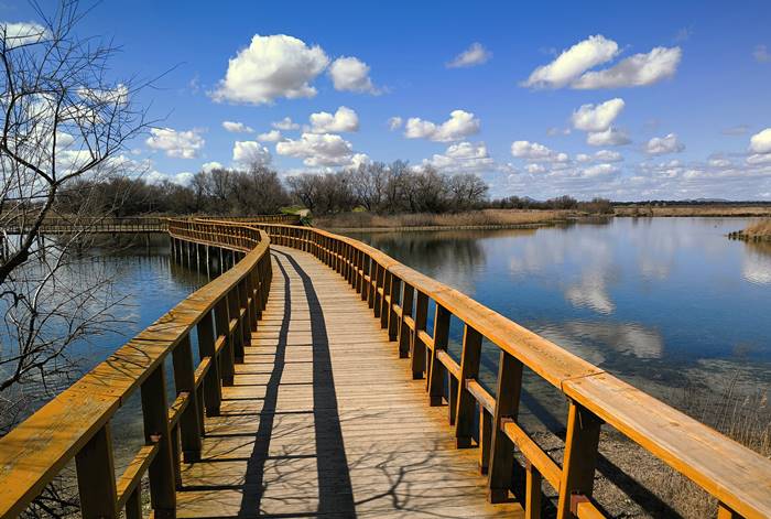 Castilla La Mancha, Spain,aTablas de Daimiel National Park